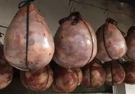 三亿体育官网-异星特勤队boss大全汇总 异星特勤队boss汇总(图1) 三亿体育