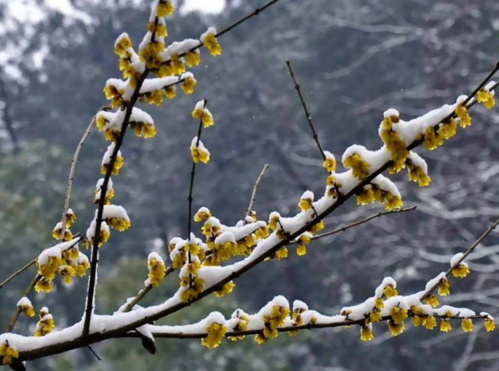 射精带血?前列腺炎到血精症至男性不育的病因与治疗有哪些?‘三亿体育官网’(图3) 三亿体育手机版