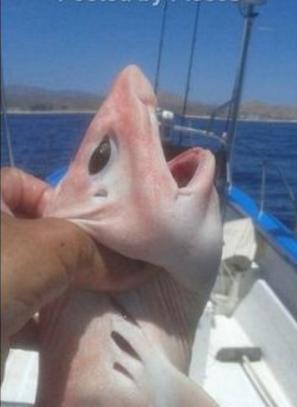 放置江湖在哪里可以看书 读书地点一览‘三亿体育’(图1) 三亿体育官网