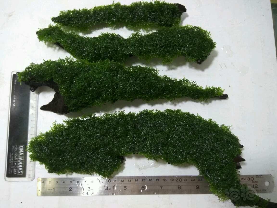 广州牛皮癣治疗相关常识介绍【三亿体育官网】(图2) 三亿体育