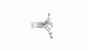 “三亿体育官网”植发后需要吃药维持植发效果吗(图2) 三亿体育手机版