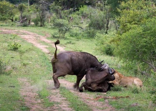 战双帕弥什渡边间章隐藏剧情攻略 渡边隐藏剧情怎么触发‘三亿体育手机版’(图2) 三亿体育