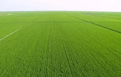 郑州医博医院做内痔手术贵不贵‘三亿体育官网’(图3) 三亿体育