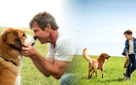 三亿体育手机版-盘点4D打印技术在生物医疗领域中的应用(图1) 三亿体育官网