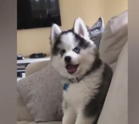 三亿体育手机版