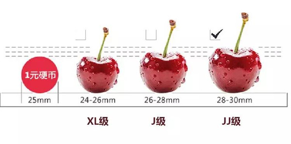 三亿体育手机版